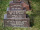 image of grave number 911188